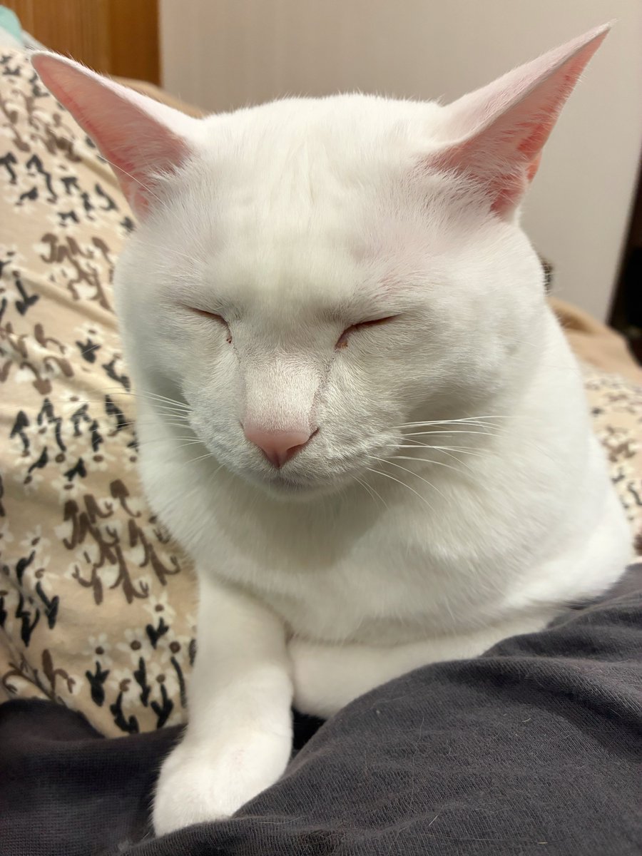 ナオはる tweet media