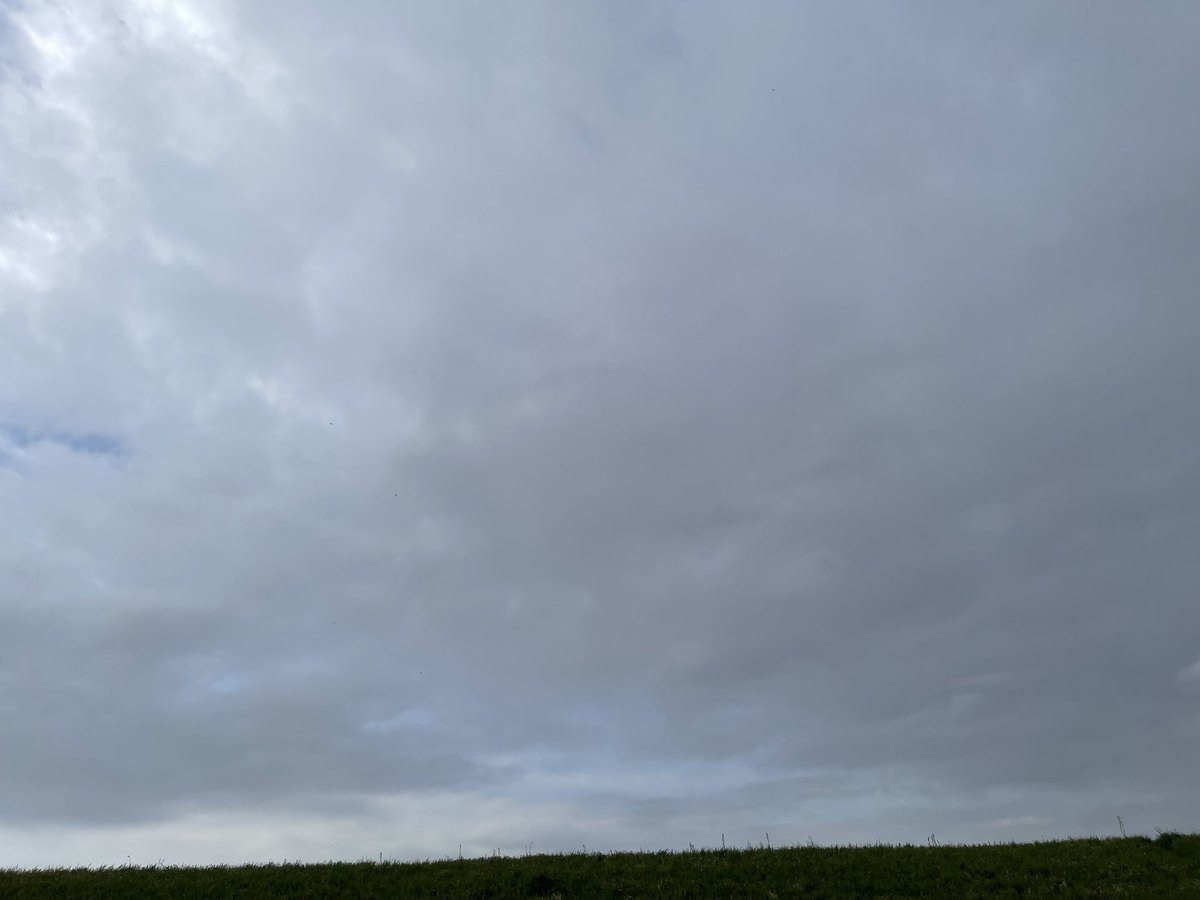 cogichoco's tweet photo. おはようございます⛅…☔ https://t.co/clK20f91Bl