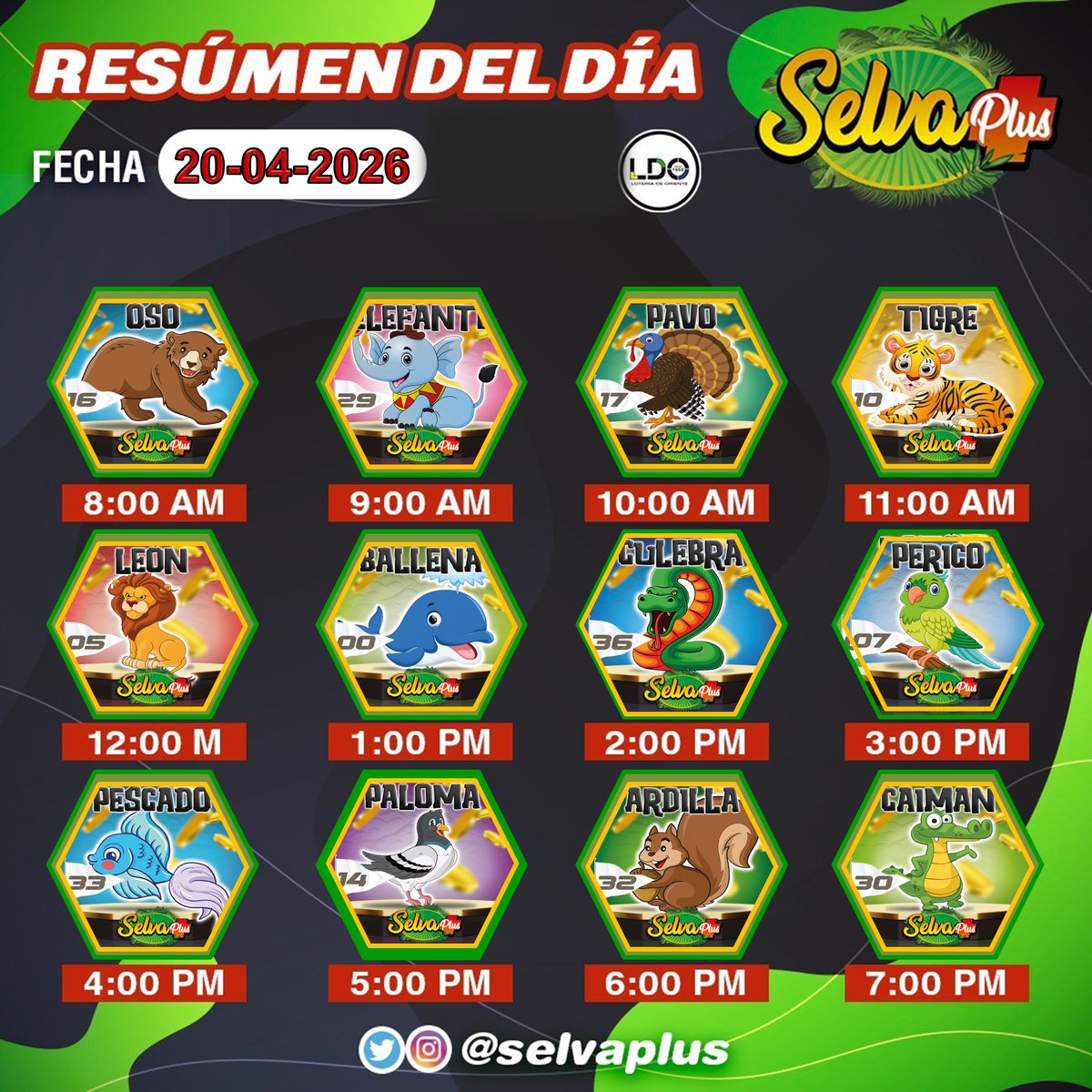 ***SELVA PLUS*** tweet media