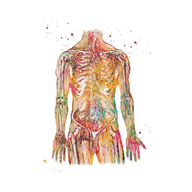 whitenismo's tweet image. Humans are Angels. In angeology humans are the highest angels in the heirchy. “The surface” belong to the humans by right. Angels live underground with their minds to live and breathe. Humans live on the surface under the sun and with nature. I am not a Human. #psa #world #news