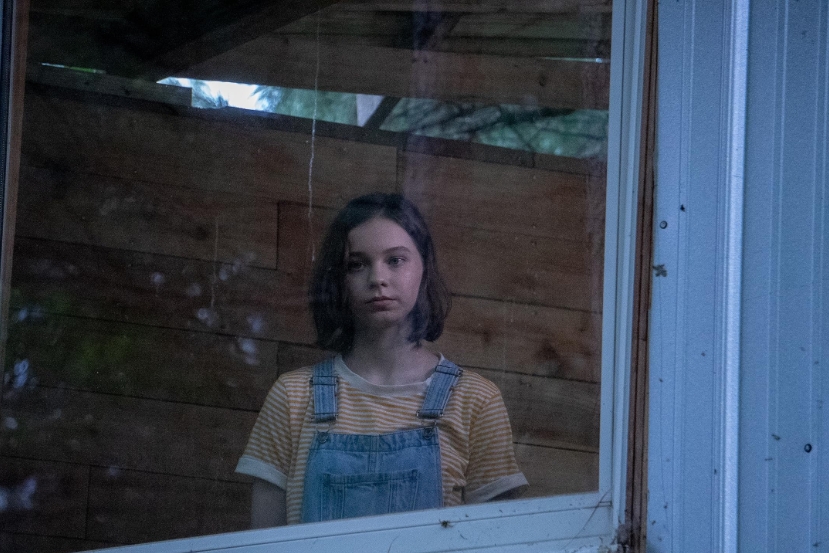 Guilherme Suzena Rosa tweet media