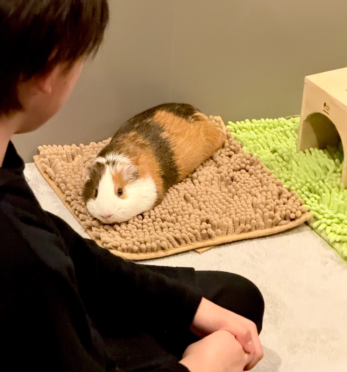 ちくわ tweet media