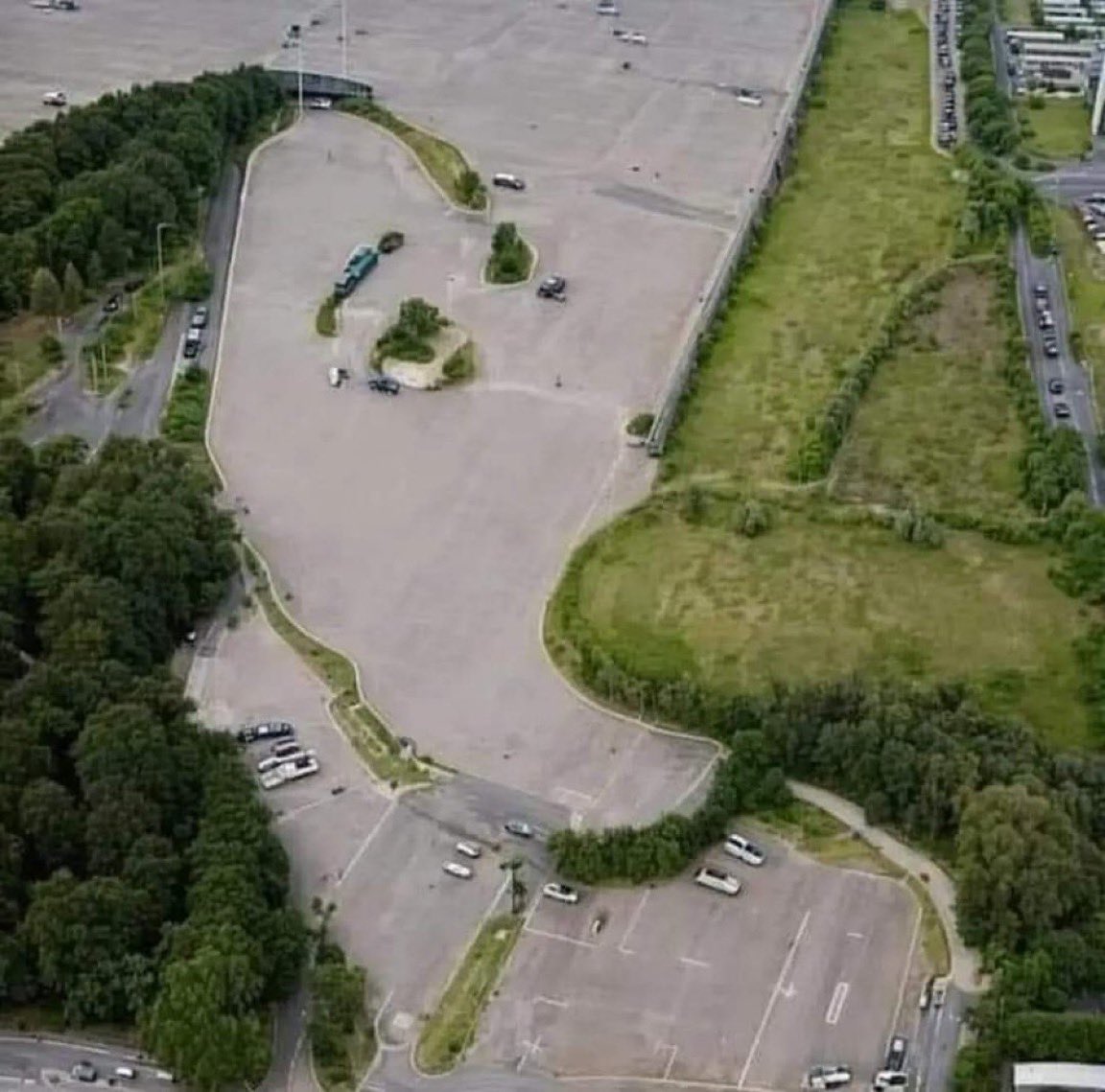 Tiffany Fong tweet media