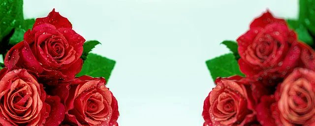 June Adriana tweet media