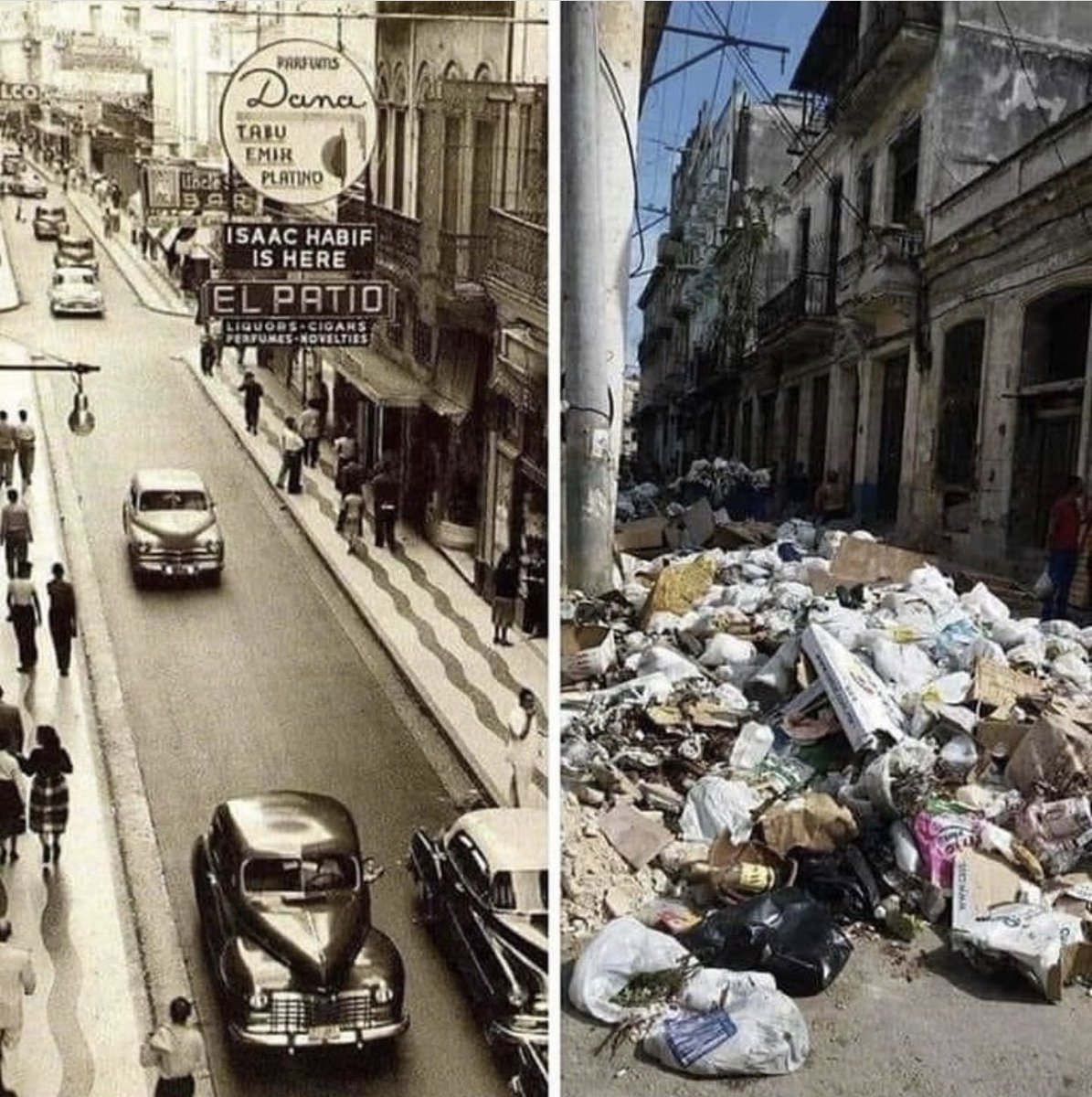 Jorge Collignon tweet media