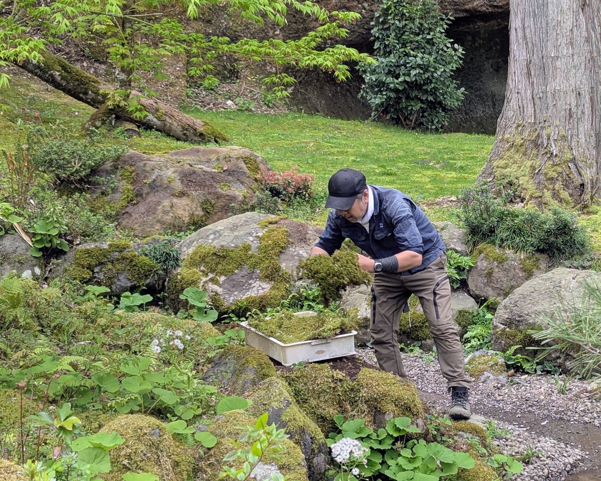 【公式】那谷寺Natadera 石川県小松市 奇岩・花・苔・紅葉の寺 tweet media