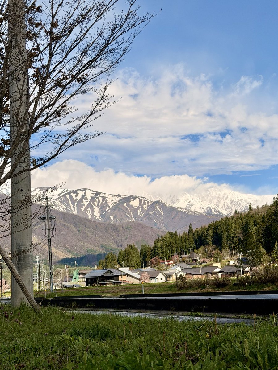 aco✨@RIDLEY tweet media