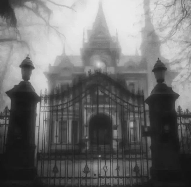 Edea ᶻz tweet media