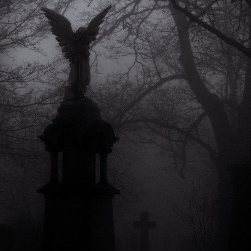 Edea ᶻz tweet media