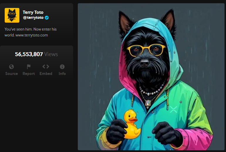 Terry Toto tweet media