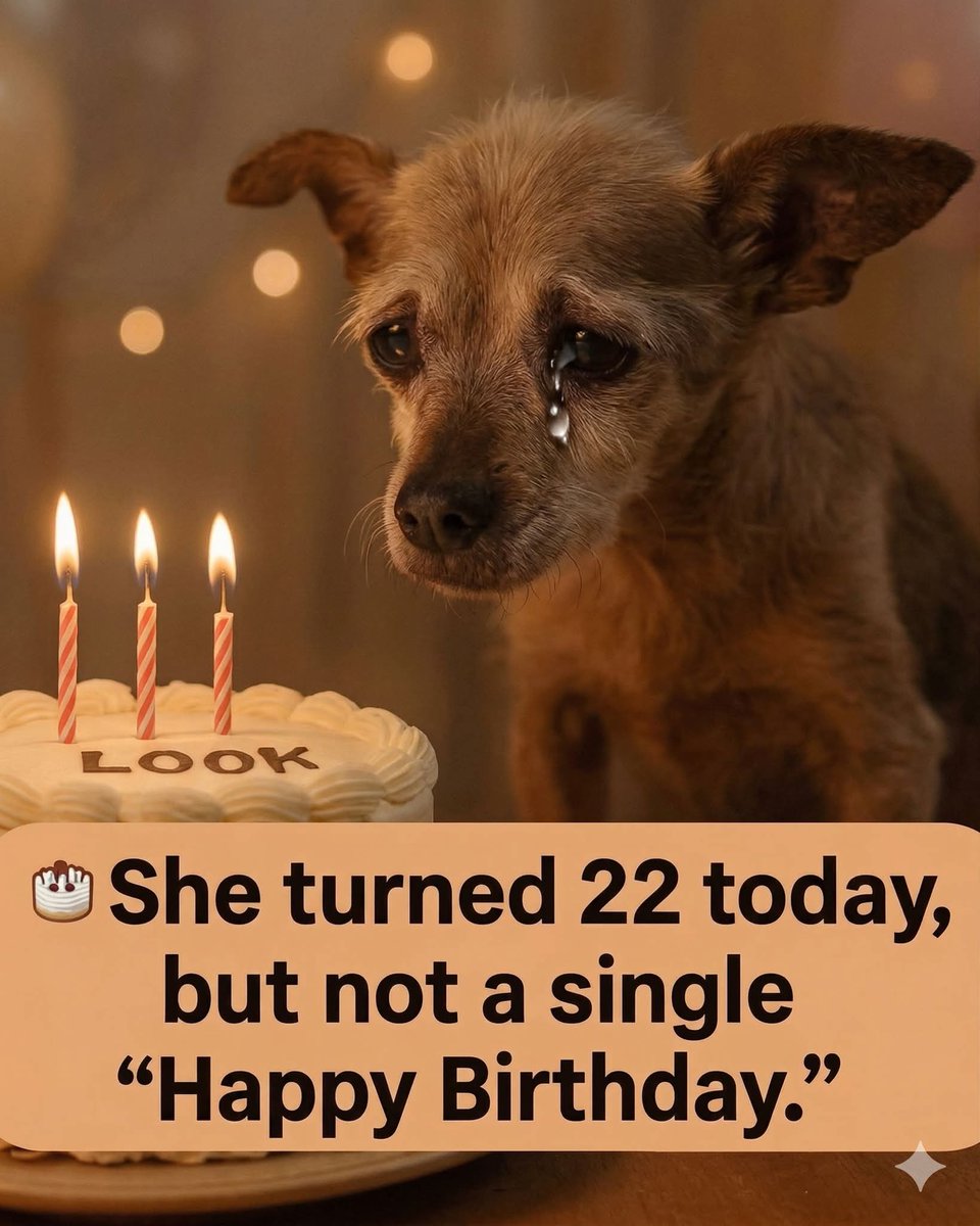 theDogLovers tweet media