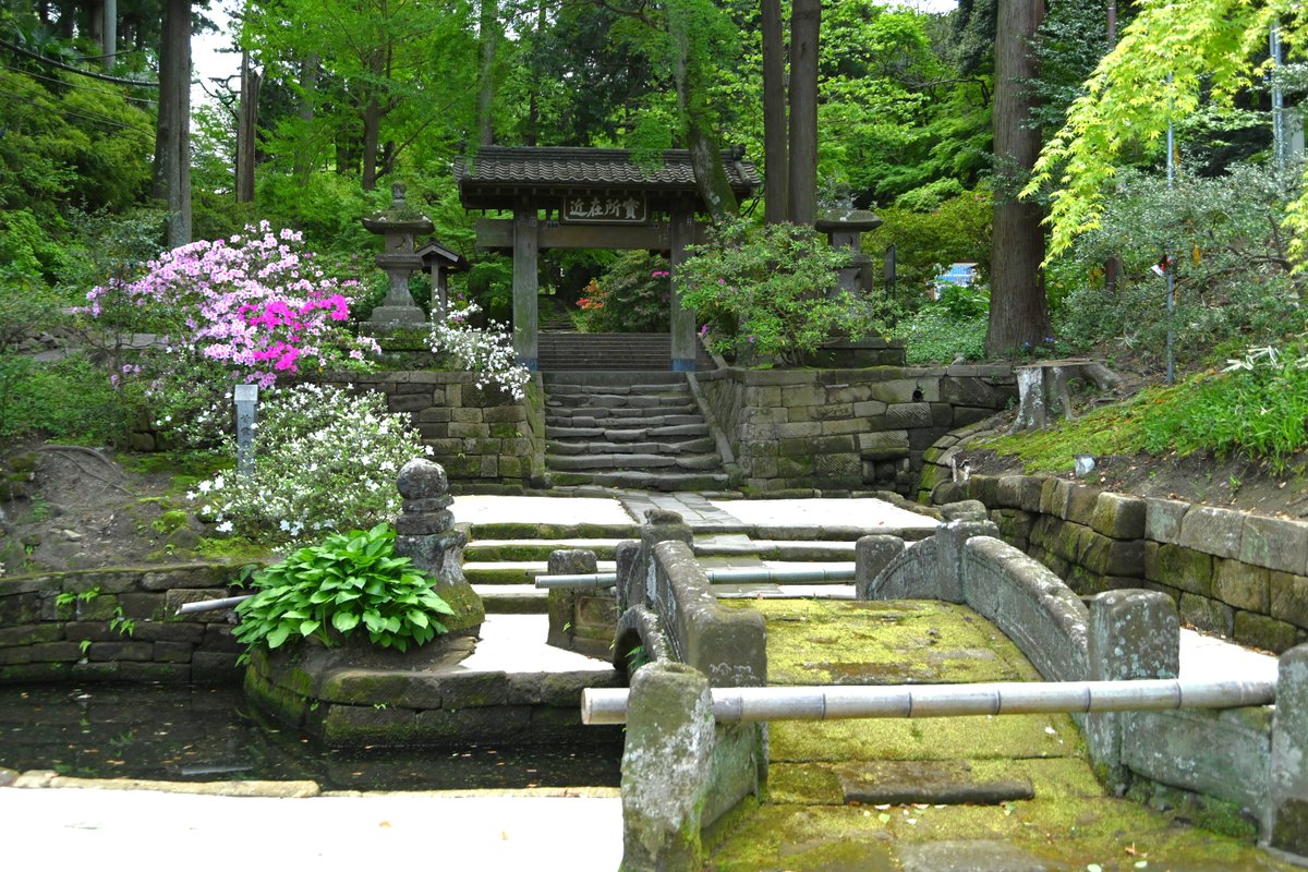 ✿「風 Ⅴ」✿ tweet media