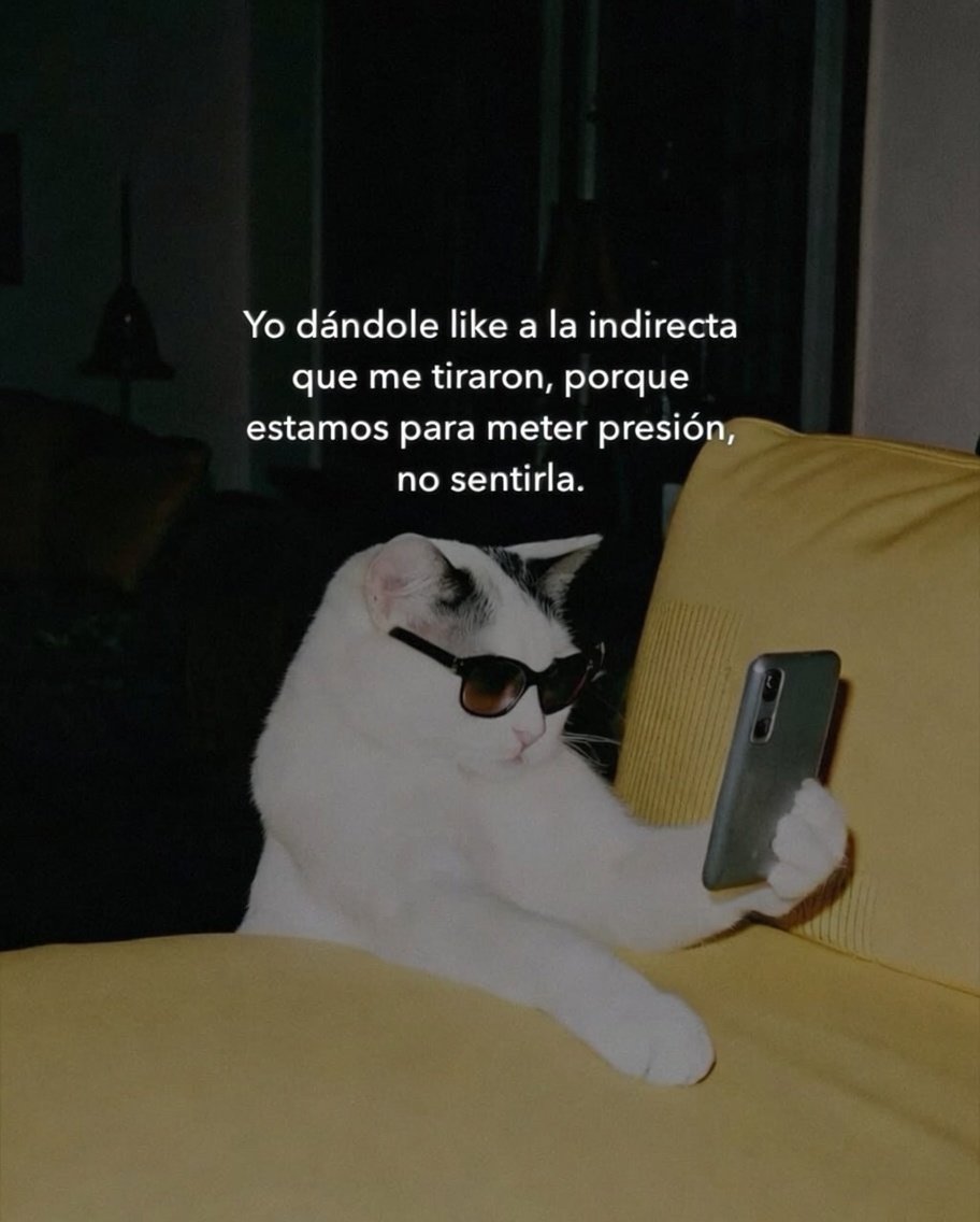 ᗩཞ༒αηα ⏤͟͟͞͞★ ᗷOCCΔRDO ™® (@nynaboccardo) on Twitter photo 