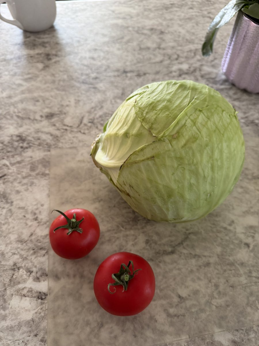 TommyGun717's tweet image. #Fresh #Delicious