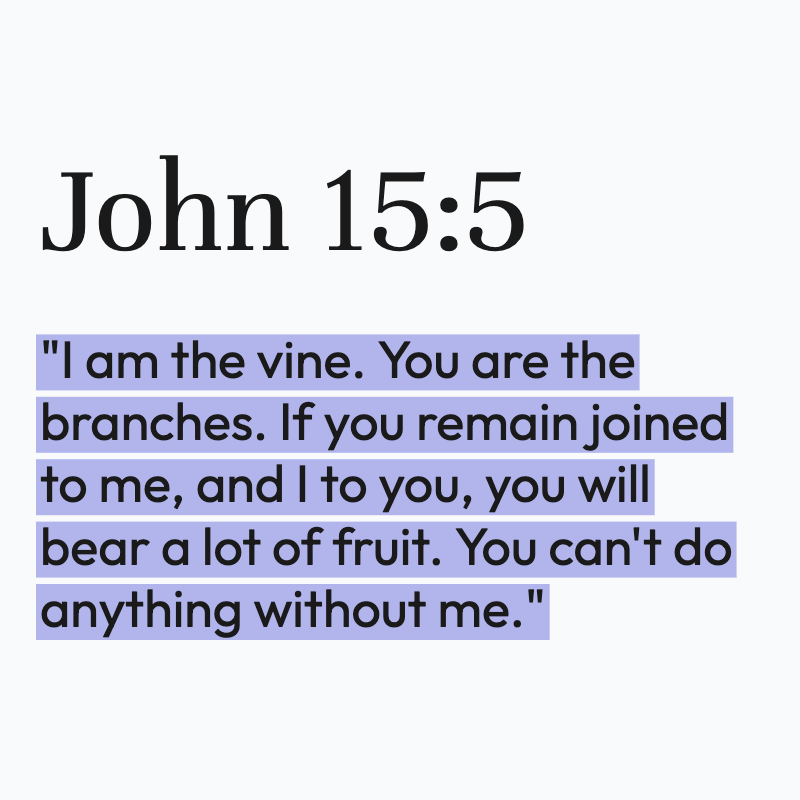 Biblical Advice tweet media