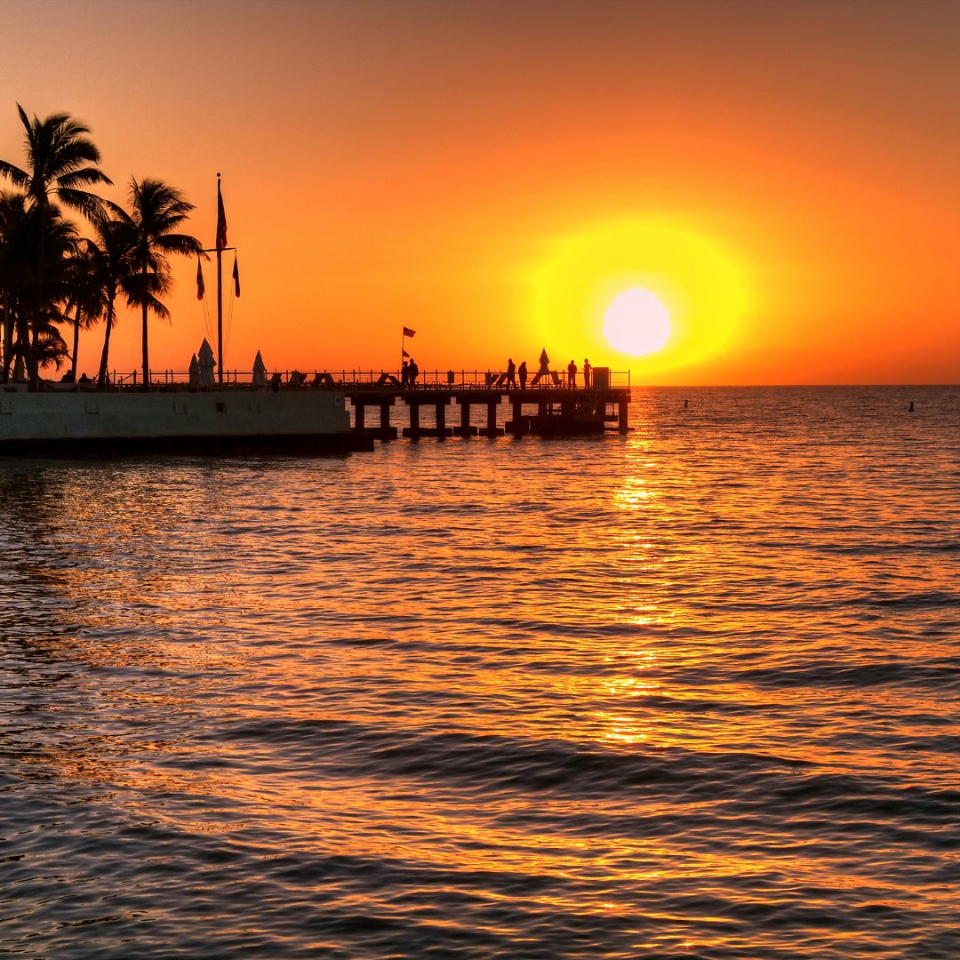 PartyInKeyWest's tweet image. At the end of any day, these views are everything. #keywest #sunset #seeninkeywest

More: PartyinKeyWest.com/wp/
Follow us: @PartyInKeyWest
Hashtag us: #PartyInKeyWest