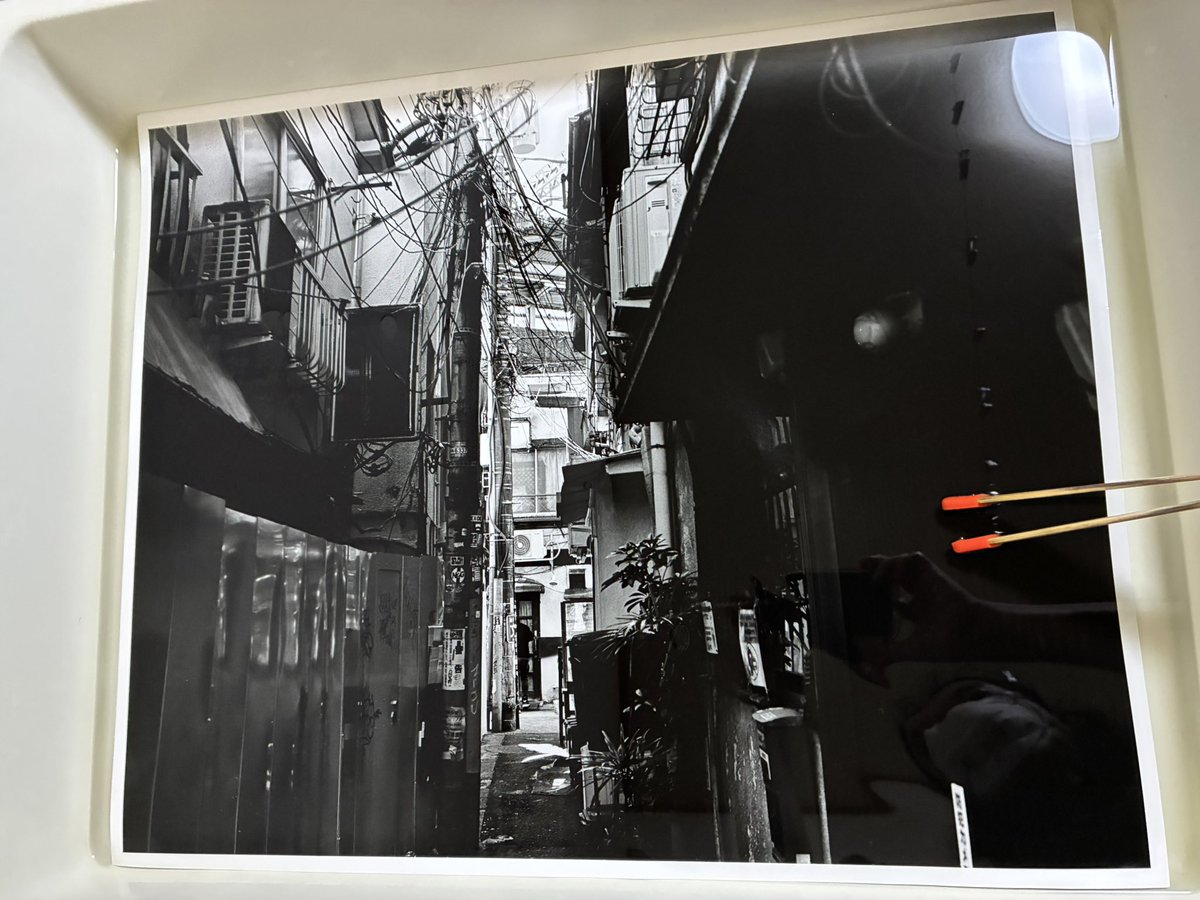 osamukanemura's tweet photo. 展覧会の準備。

2026.05.02 - 07.26
武蔵野・再考―写真家たちの武蔵野と向井潤吉の写真 | 世田谷美術館 SETAGAYA ART MUSEUM

私も参加します。

金村修 『Musashino Grizzly』 https://t.co/mJf5jgXFpb
