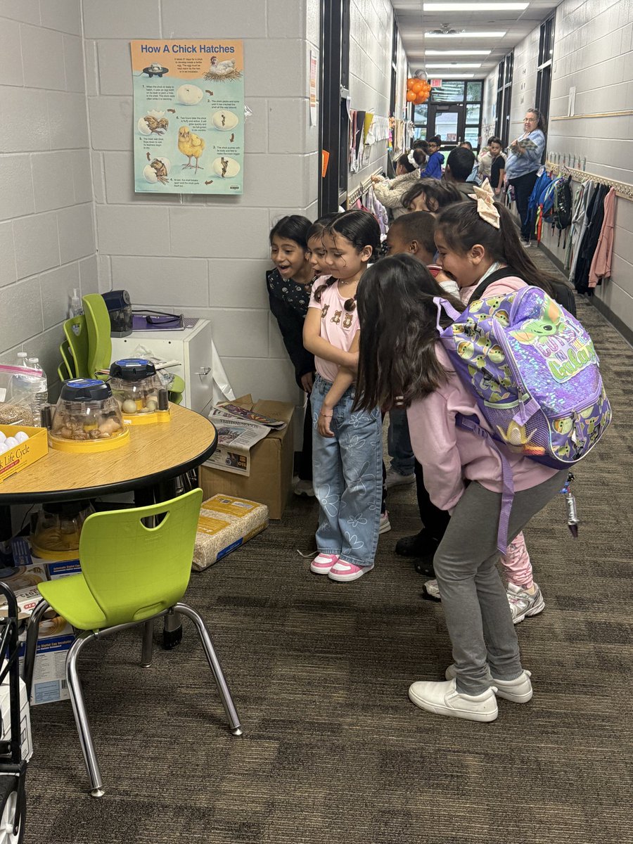 texasmaestramsg's tweet photo. An eventful Monday @HumbleISD_HE ! We welcomed back one of our sweet Wildcats, saw our first chicks hatched 🐣, rocked our math lesson, and continued to make our product for Market Day on Friday. ❤️ https://t.co/Ve57gD8KWo