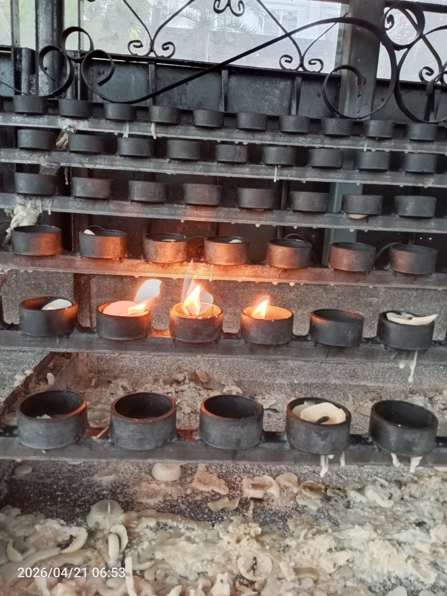 Boss B 💻👷‍♂ tweet media