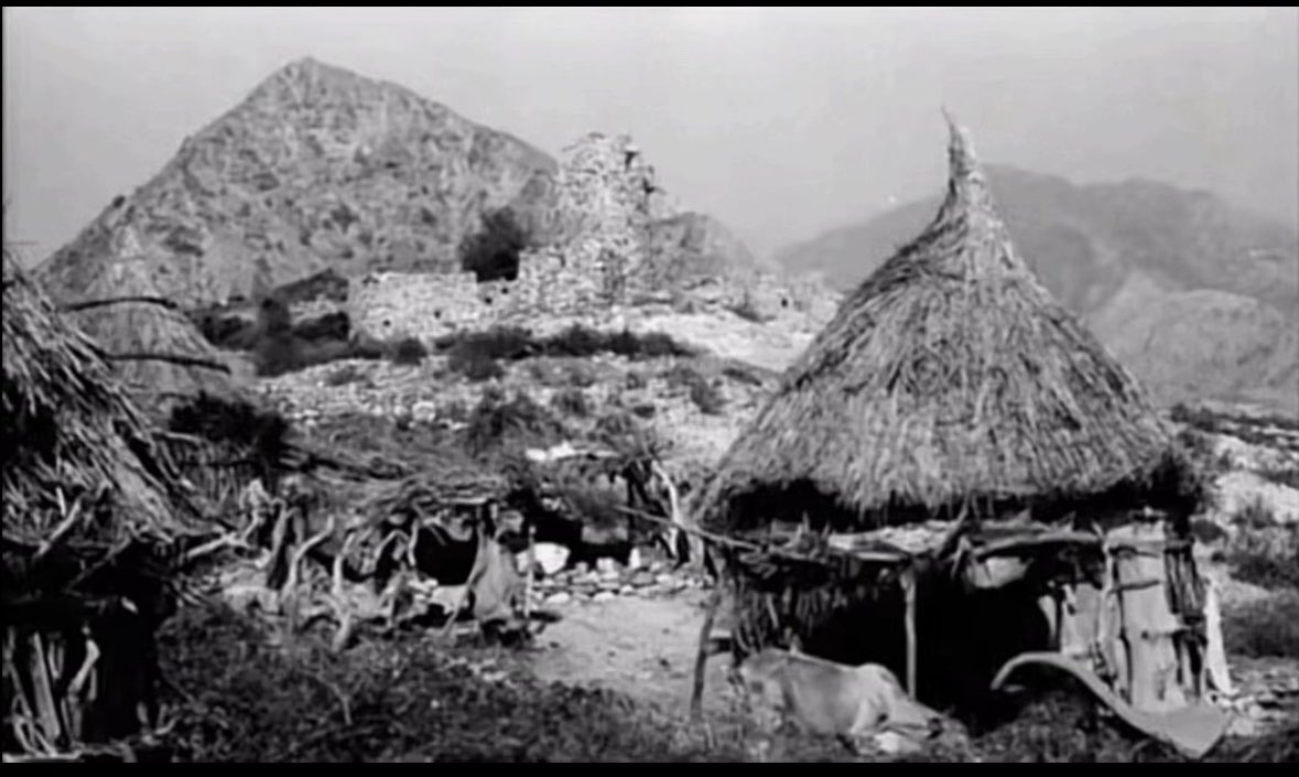 العكي tweet media