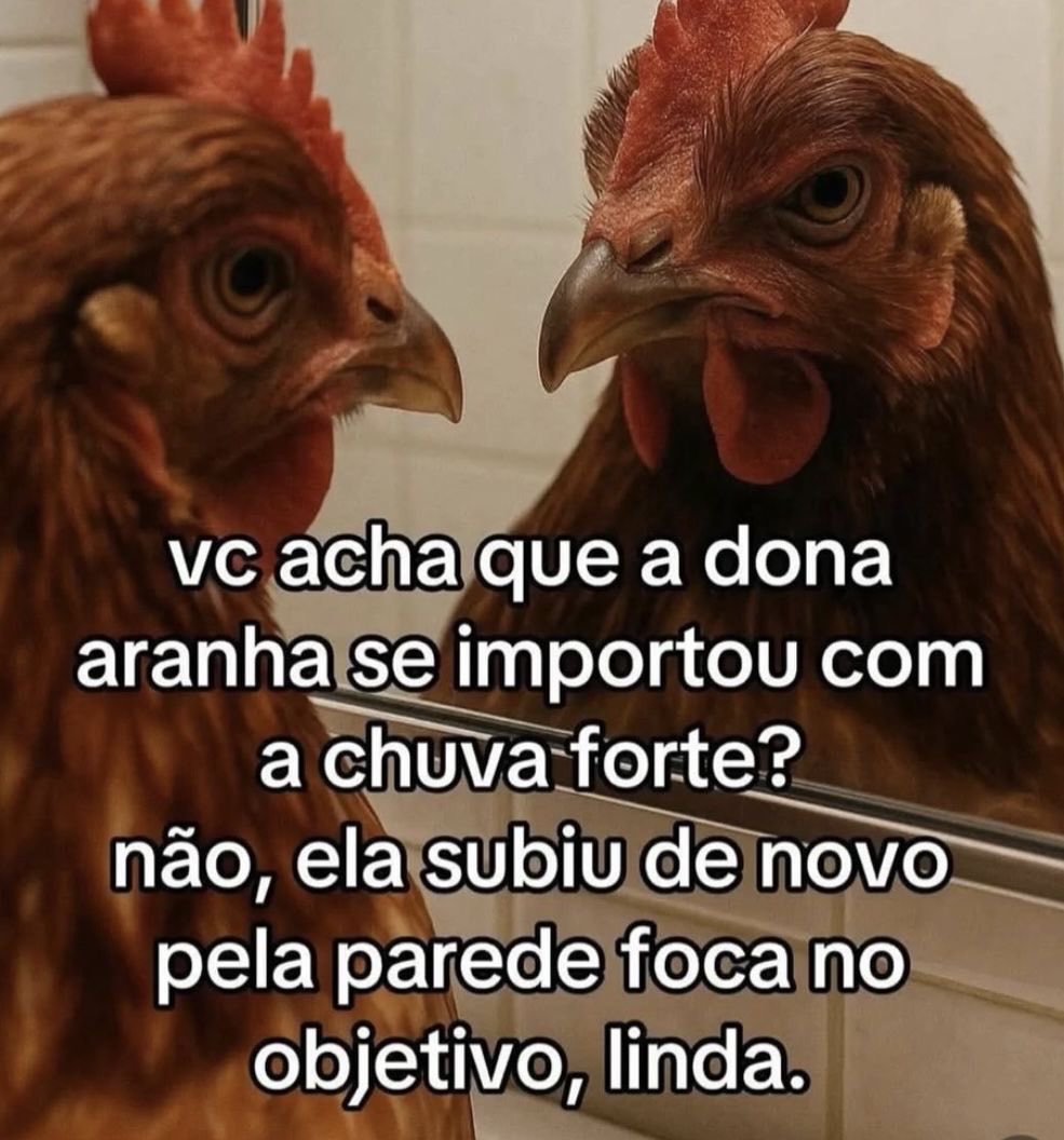 R e c i t e i (@souderecitar) on Twitter photo 