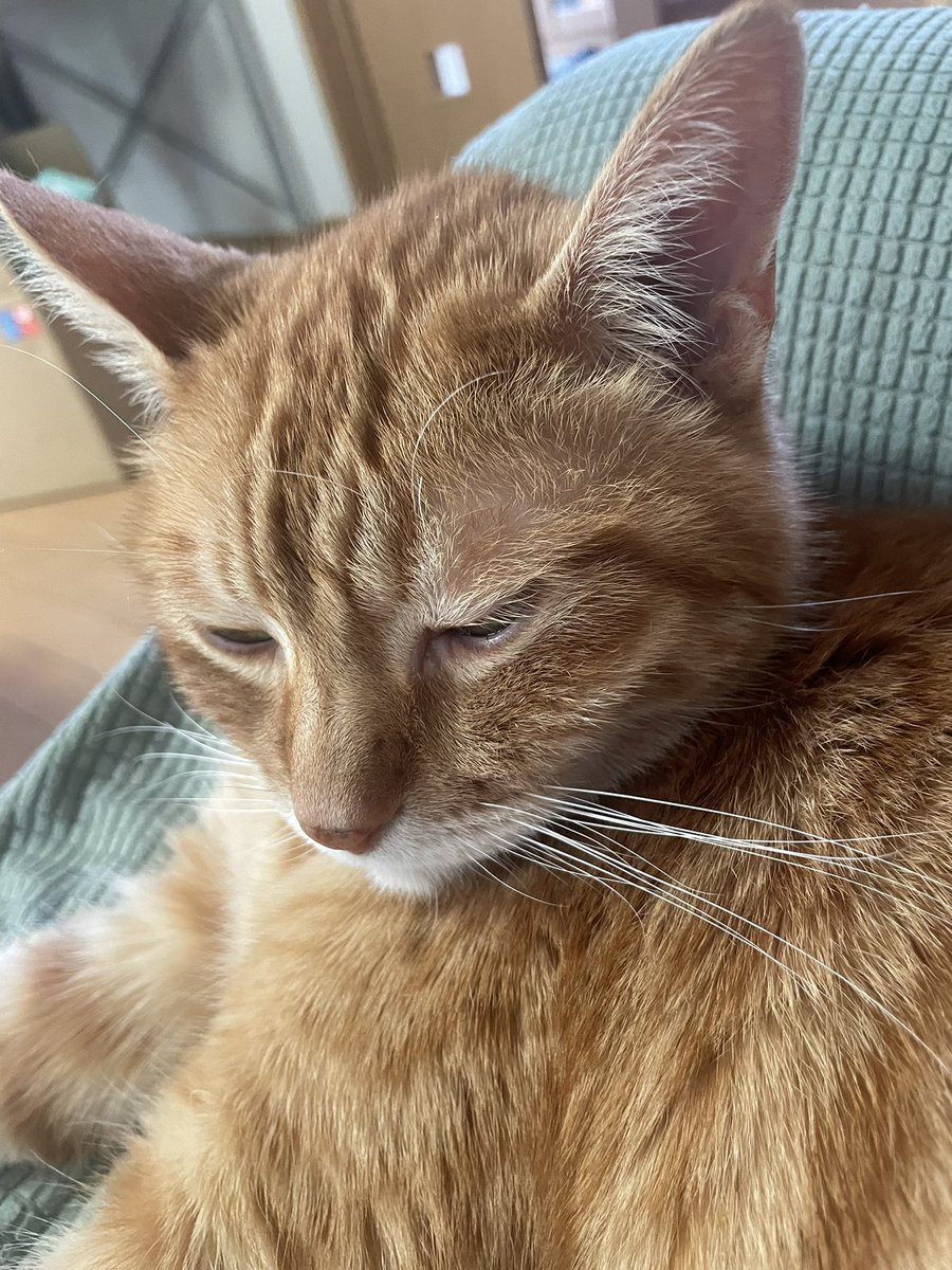 小川恵理子 tweet media