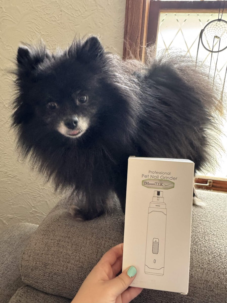 historicalsquid 🧛‍♀️🦑 tweet media