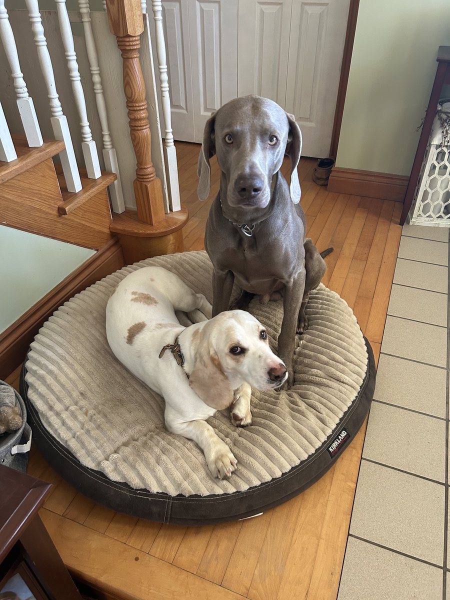 Todd McNeely tweet media