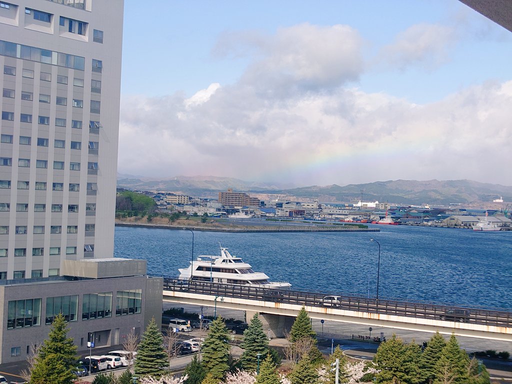 亀ちゃん tweet media