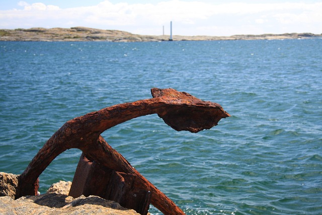 Shelley Chesterton tweet media