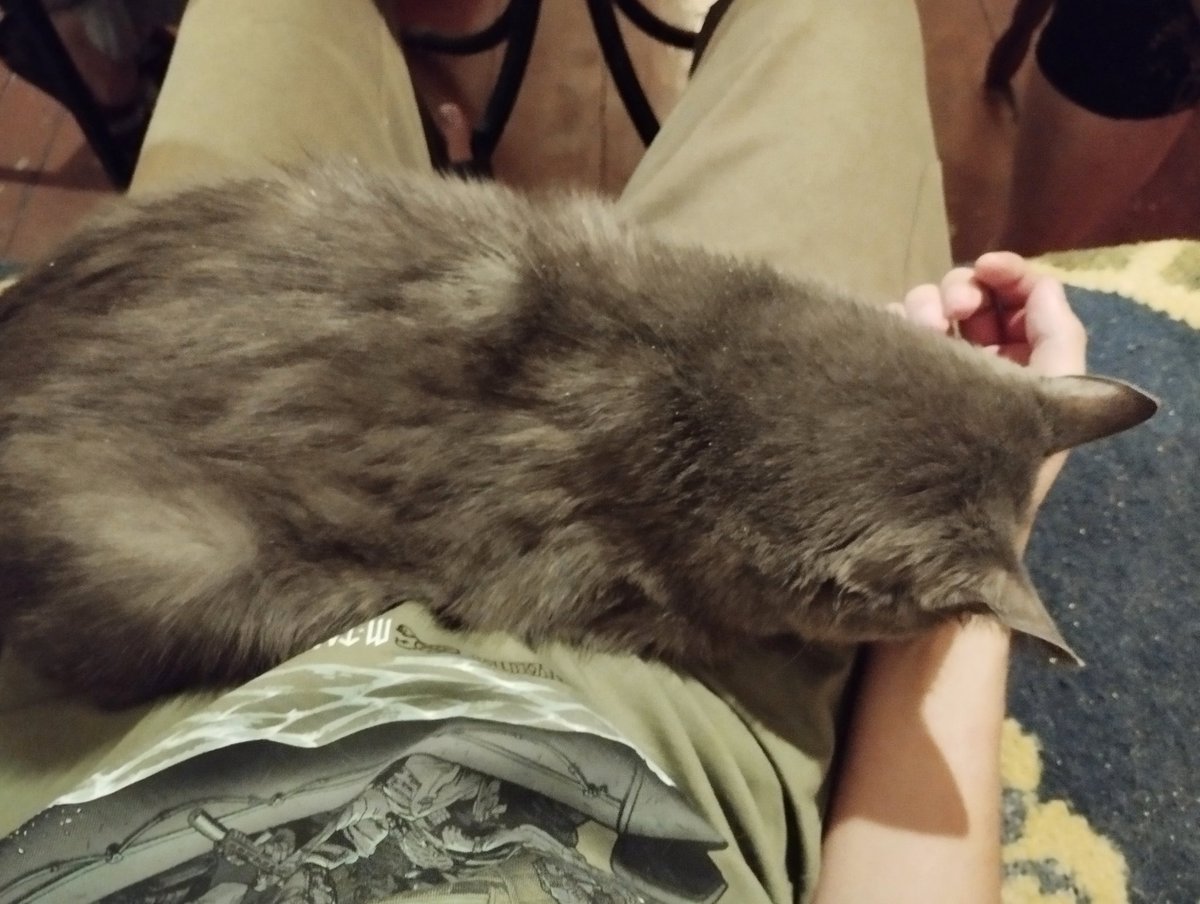 Макс 🇺🇦 tweet media