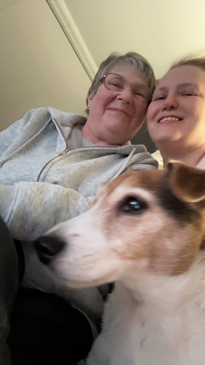 Jack Russell Brown tweet media