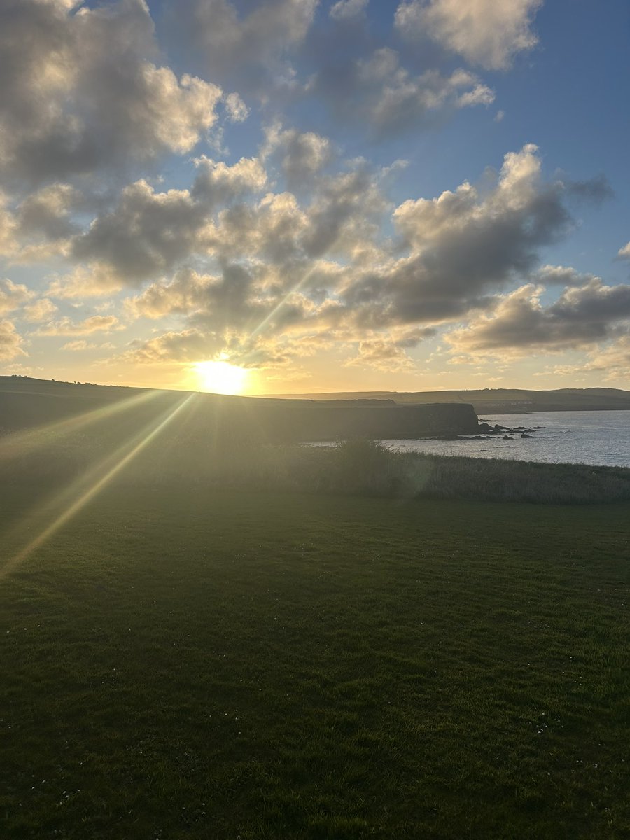 Jack Russell Brown tweet media