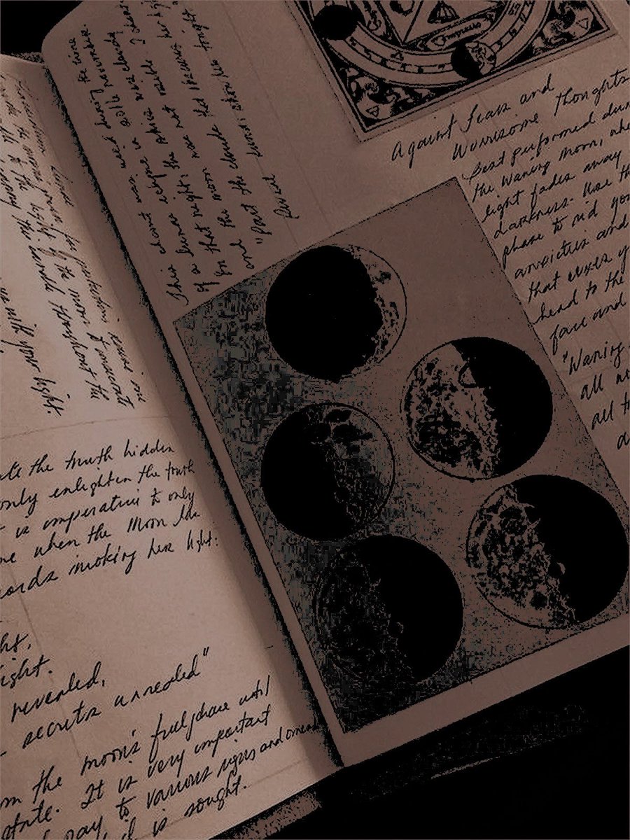 𓂃 ࣪ 🐺 ִֶָ ꒷꒦ 𝕾𝐖𝐸͜‏𝑬𝐓 ┈─ 𝖂𖣠͜𝙻𝙵. tweet media