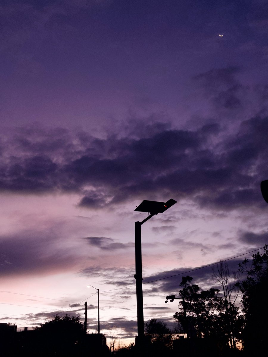 lara’s attorney tweet media