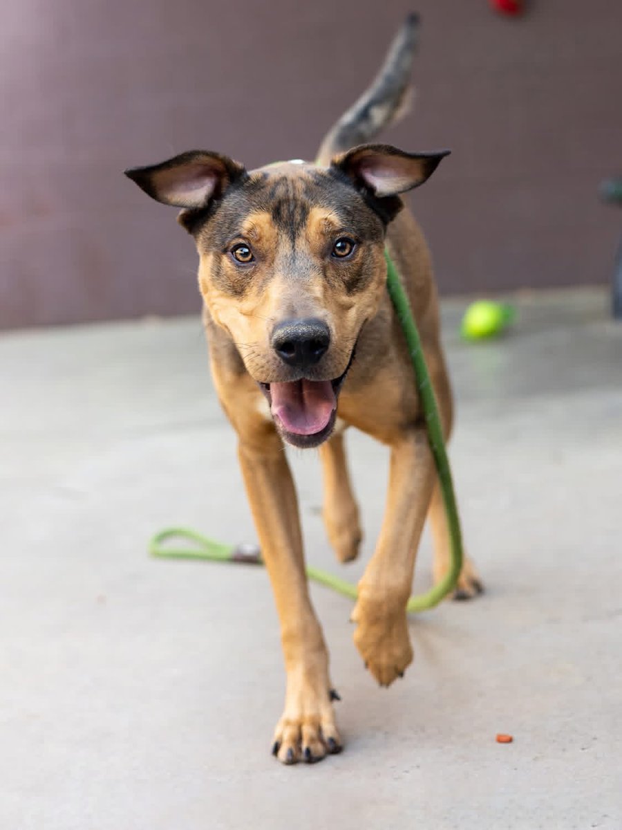 Fionaismybitch tweet media