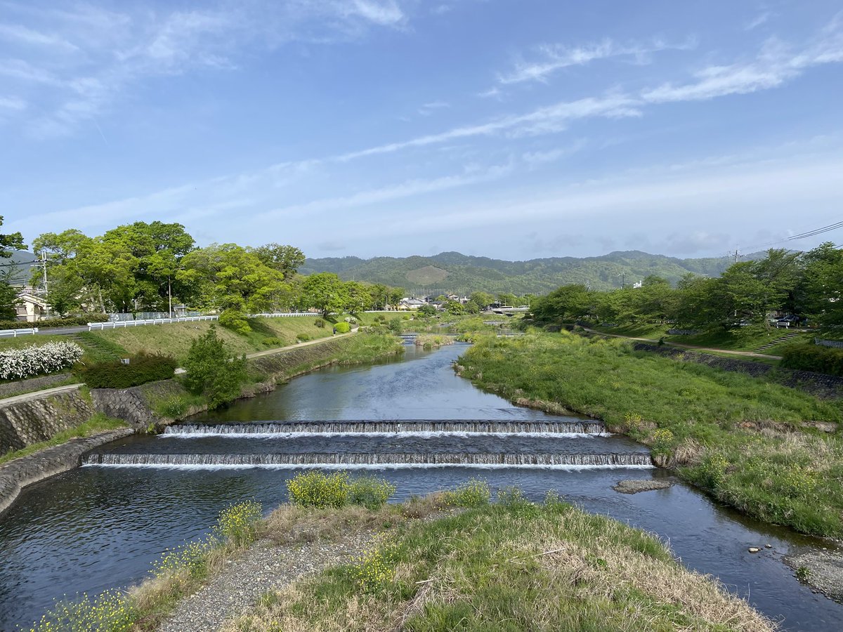 かもかも会 （京都 賀茂川） tweet media