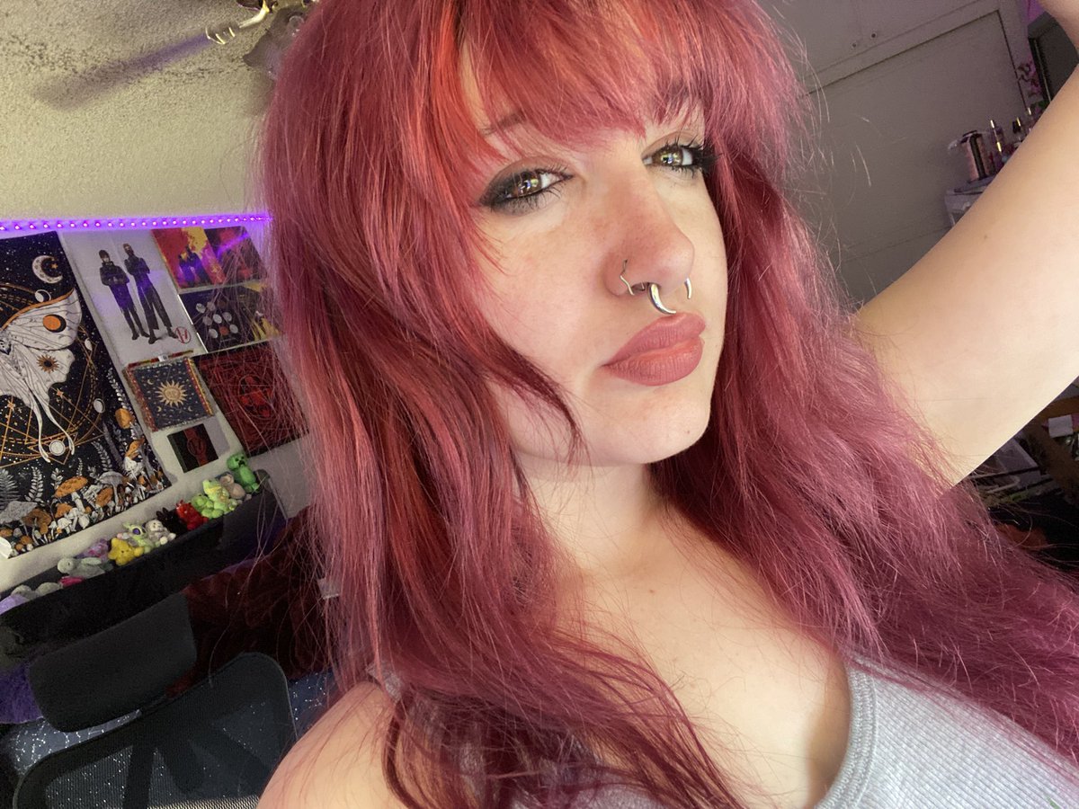 Moth 🛸✨ tweet media