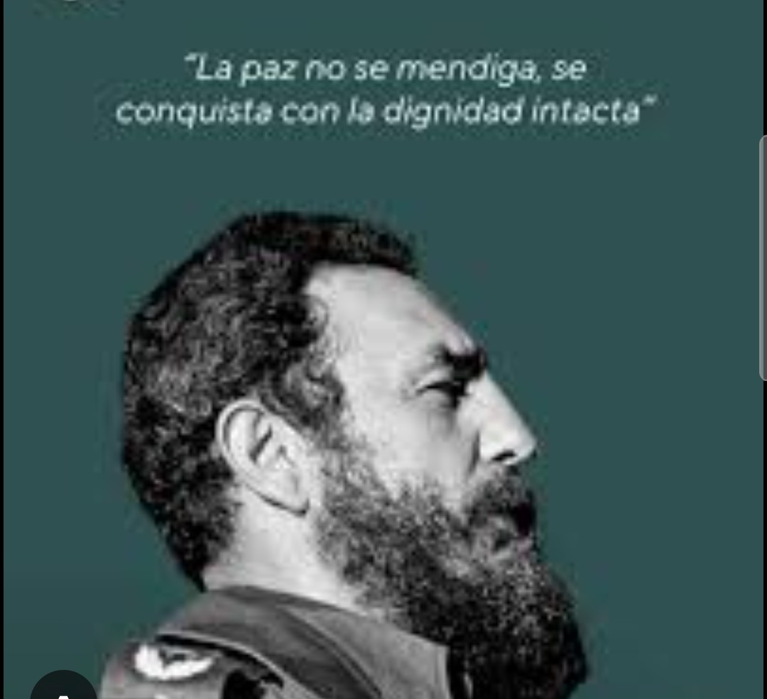 Anita González tweet media