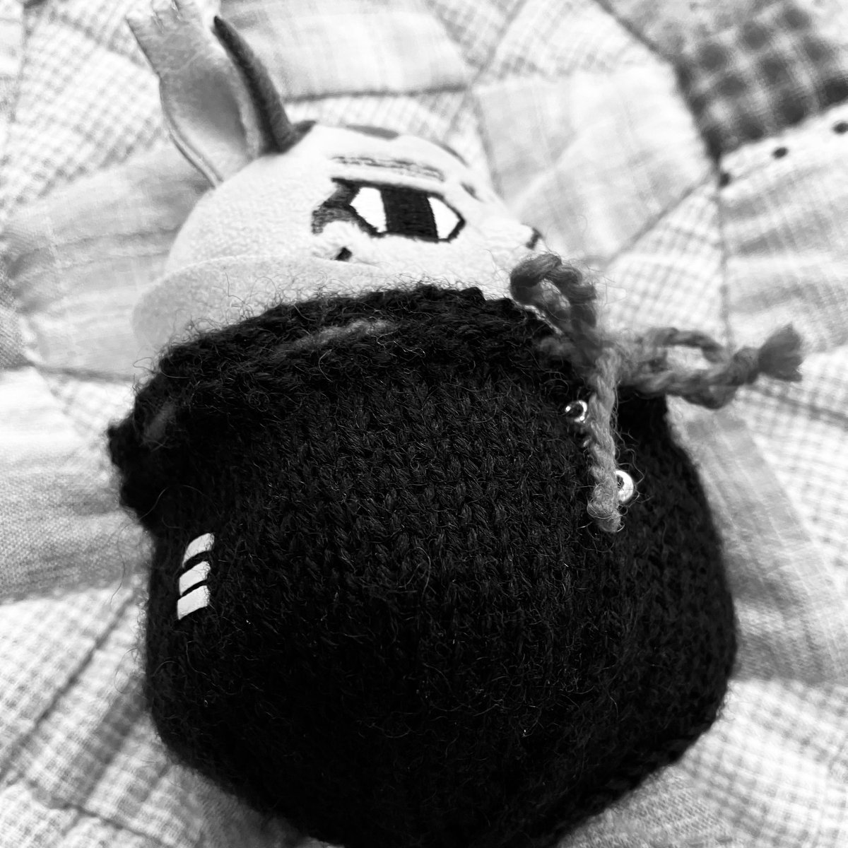 ナッツ tweet media