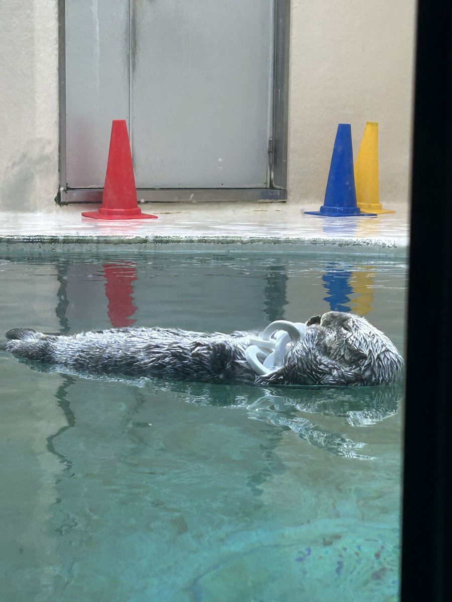 キラちゃん💖
18歳のお誕生日おめでとう🎉