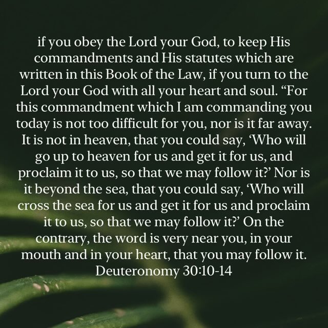 J Will 🦁 tweet media