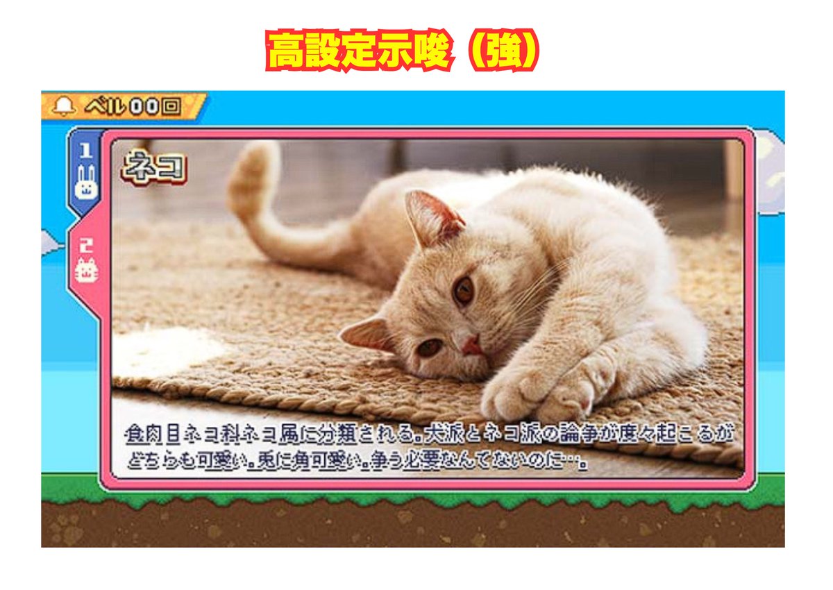 パチンコ・パチスロ.com tweet media