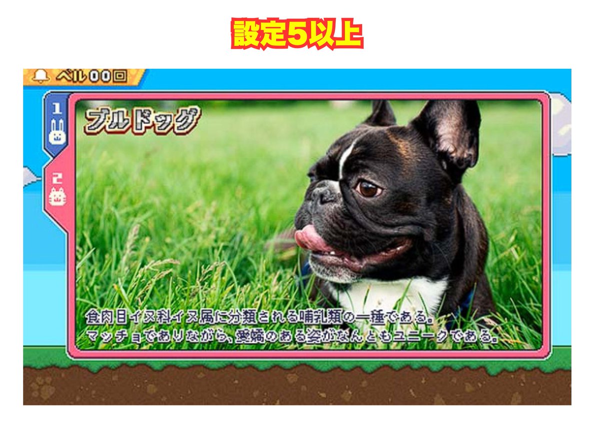 パチンコ・パチスロ.com tweet media