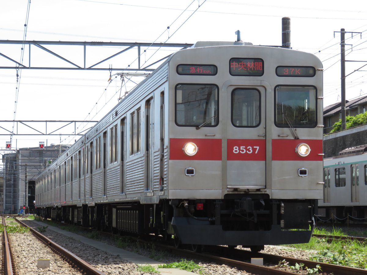 TM199309's tweet photo. 数えきれないほど見た急行中央林間行きの8500ってこんなにかっこよかったのかと、何回もシャッターを切りました。 https://t.co/a5iOgz6sZ7