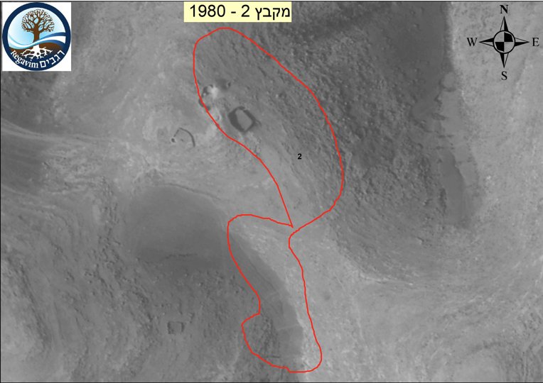 Mokuren(モクレン) 🇯🇵🇮🇱 tweet media