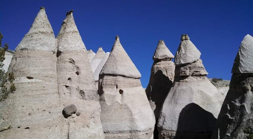 Loralee Logan 🌻🌻🌻 tweet media