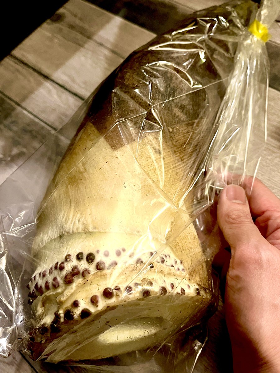 旬菜酒場 市川居笑門／東心斎橋の朝までやってるカウンター10席の居酒屋さん tweet media