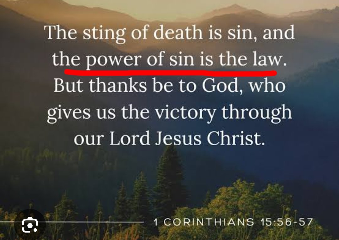 HisLifeNMe tweet media