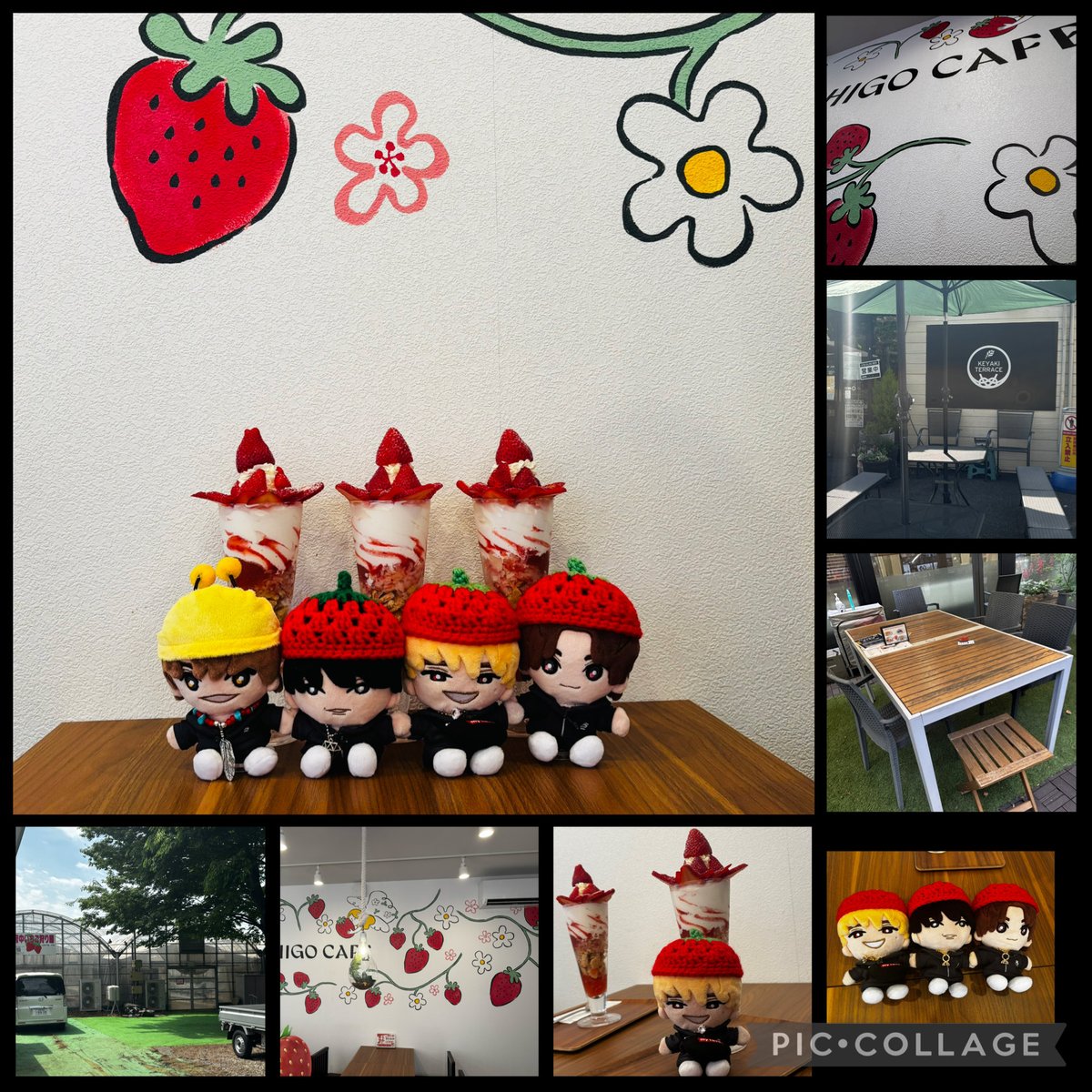 ぱんだ15🐼🍓 tweet media